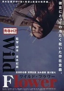 美女人妻中文字幕