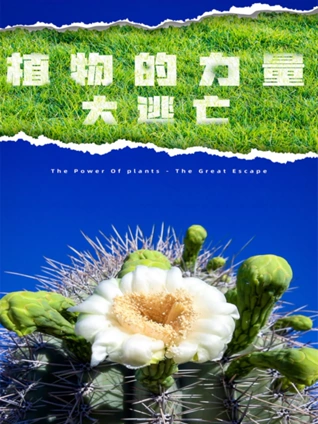 www青柠电影免费观看在线高清6